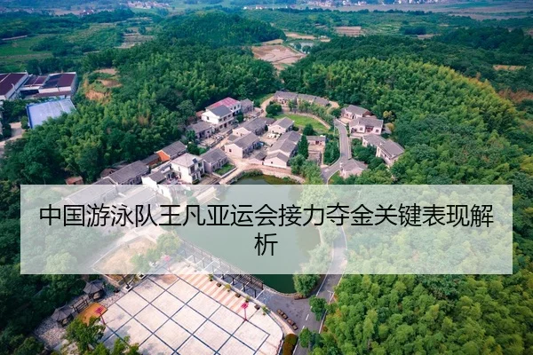 中国游泳队王凡亚运会接力夺金关键表现解析