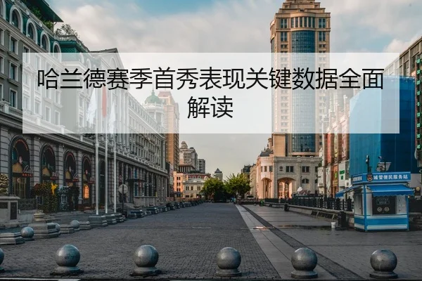 哈兰德赛季首秀表现关键数据全面解读